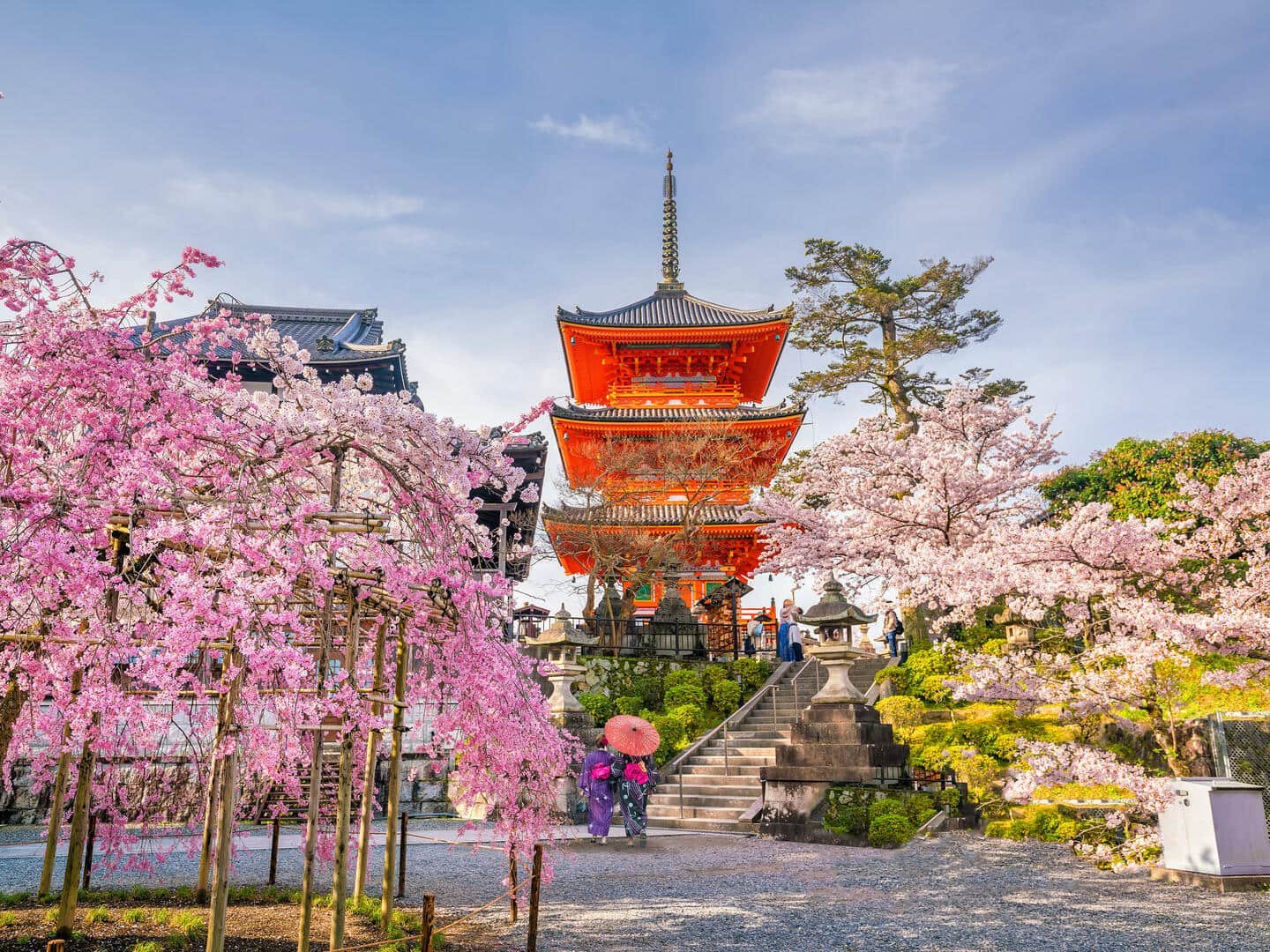 tokyo-flower-blossom-landmark-spring-cherry-blossom-1593209-pxhere.com-min
